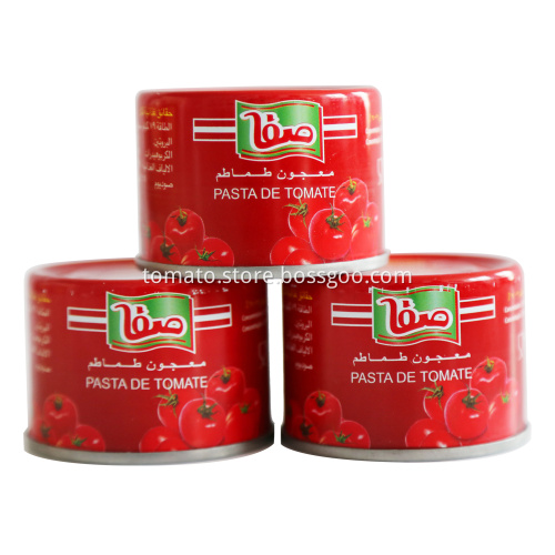 400g*24 SAFA Brand Canned Tomato Paste